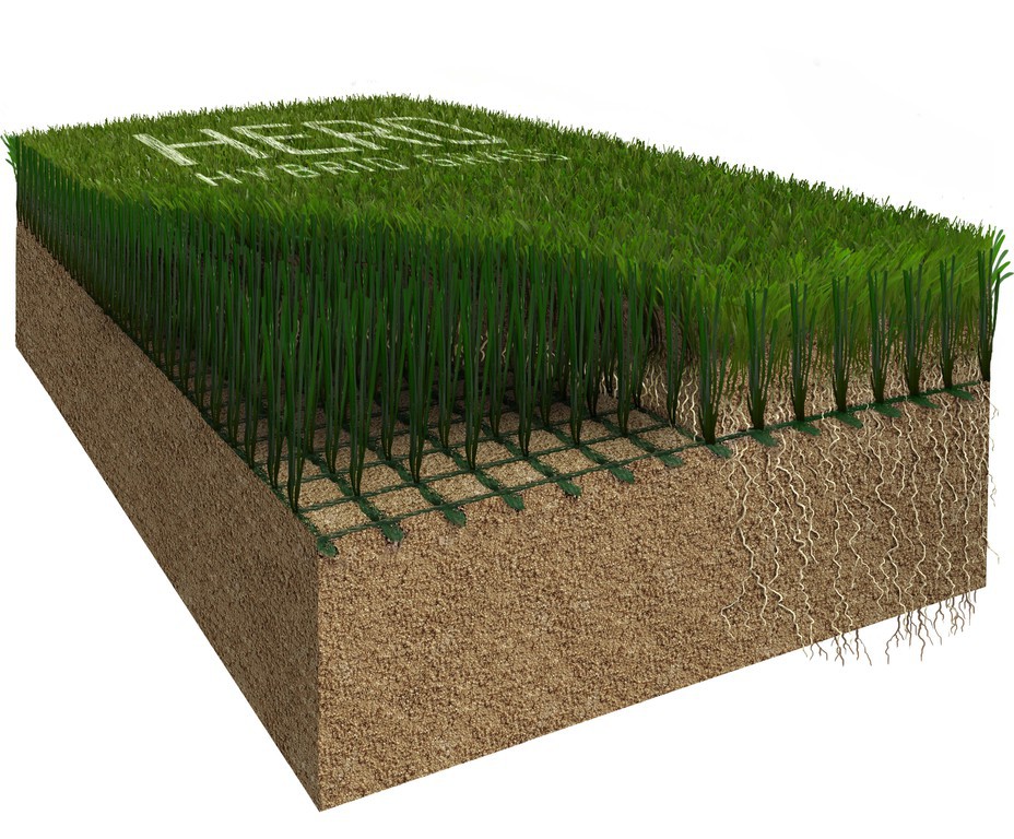 What Is Hybrid Grass